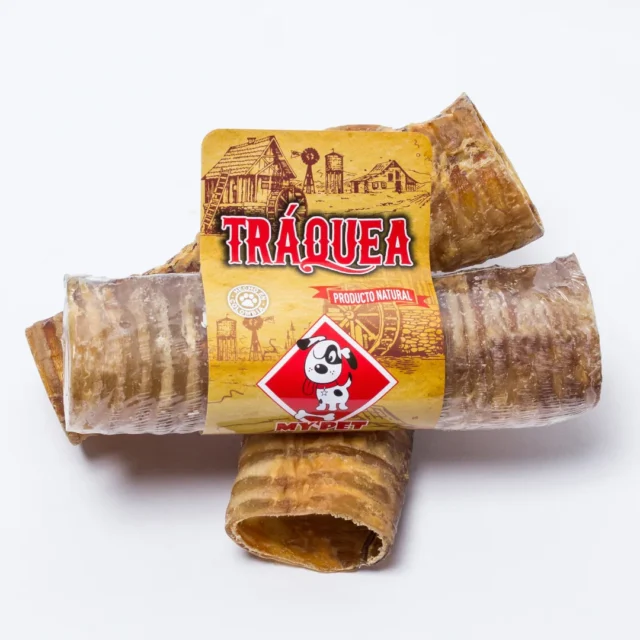 Traquea - Imagen 4