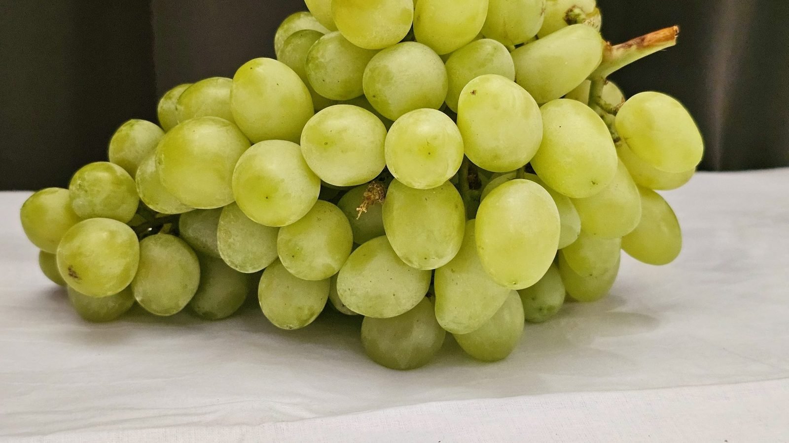 Racimo de uvas verdes sobre una mesa, uno de los alimentos prohibidos para perros