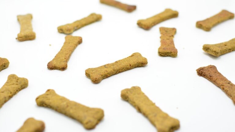 Galletas caseras para perros con forma de hueso sobre fondo blanco