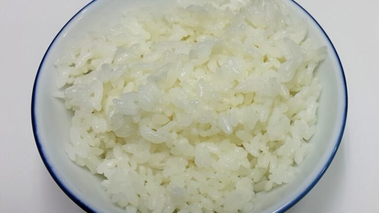 Plato de arroz blanco cocido sin condimentos, la forma correcta de darle arroz a un perro