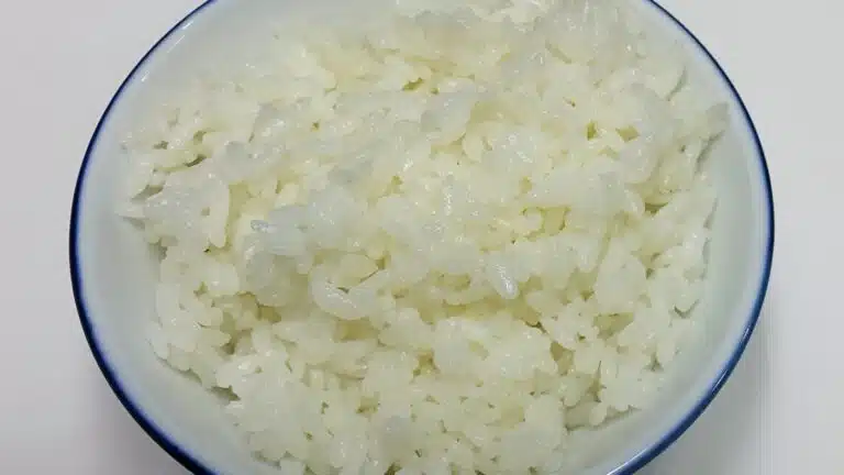 Plato de arroz blanco cocido sin condimentos, la forma correcta de darle arroz a un perro