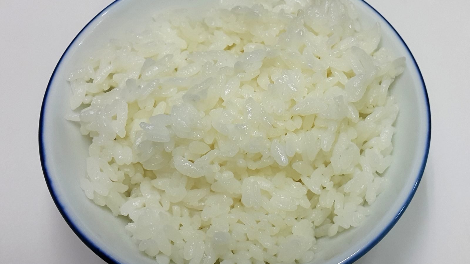 Plato de arroz blanco cocido sin condimentos, la forma correcta de darle arroz a un perro
