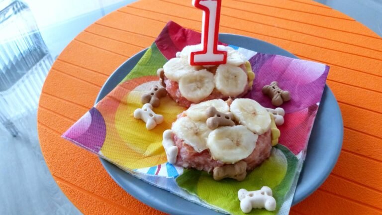 Torta de cumpleaños para perro con rodajas de banano, galletas con forma de hueso y una vela con el número uno, torta para perros